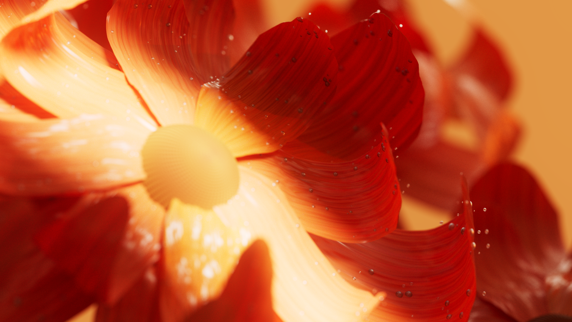 Simulation Flower