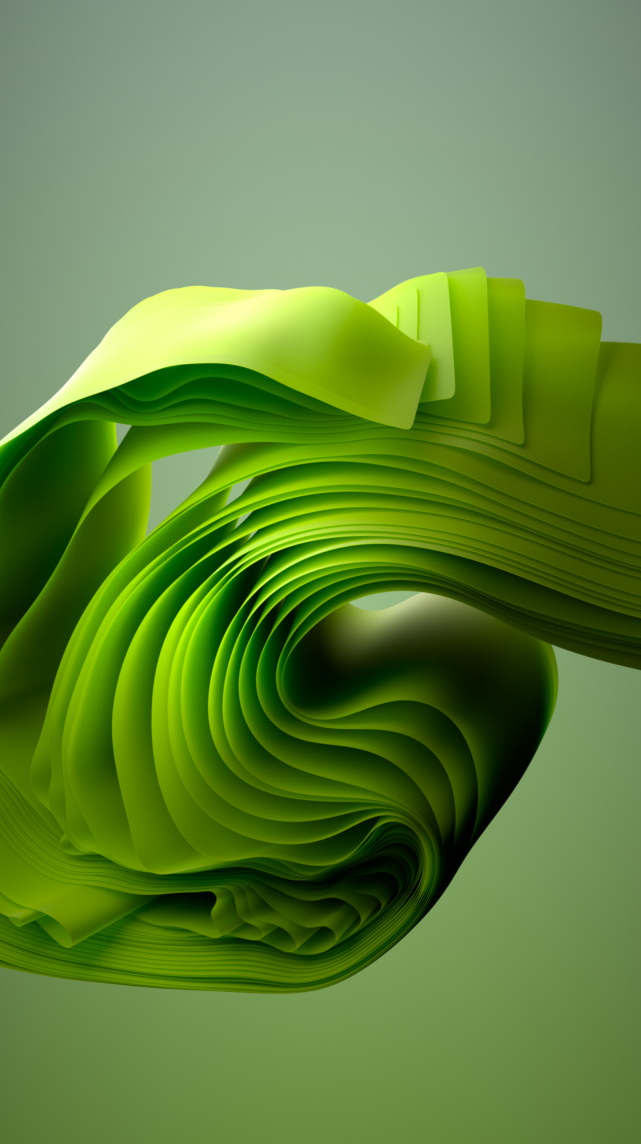 Microsoft Visual Art